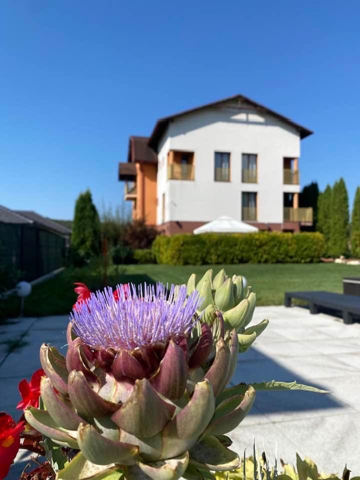 Hanul Conitei Sovata Exterior foto